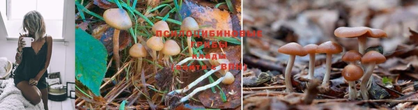 мефедрон мука Елабуга