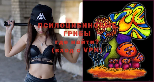 jwh Ельня