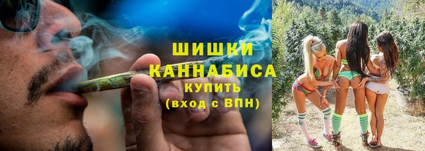 jwh Ельня